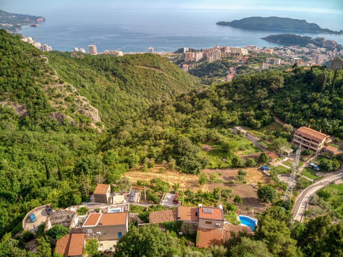 Villa Old Olive 2 Budva